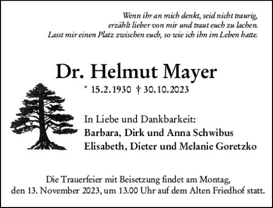 Traueranzeige von Helmut Mayer von Hochheimer Zeitung