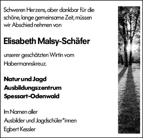 Traueranzeige von Elisabeth Malsy-Schäfer von Odenwälder Echo