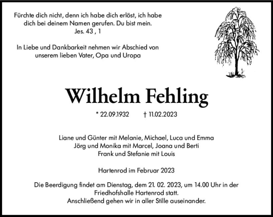 Traueranzeige von Wilhelm Fehling von Hinterländer Anzeiger