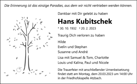 Traueranzeige von Hans Kubitschek von Wetzlarer Neue Zeitung