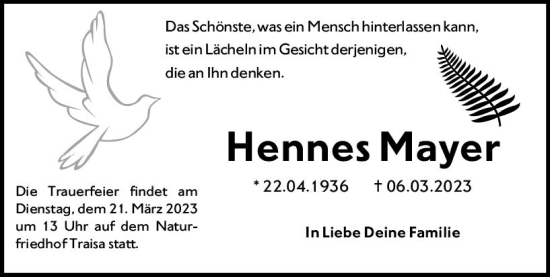 Traueranzeige von Hennes Mayer von Darmstädter Echo
