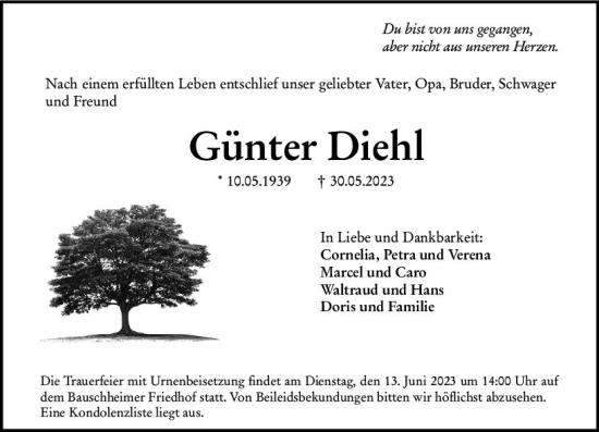 Traueranzeige von Günter Diehl von Rüsselsheimer Echo