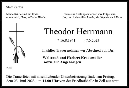 Traueranzeige von Theodor Herrmann von VRM Trauer