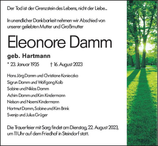 Traueranzeige von Eleonore Damm von Wetzlarer Neue Zeitung