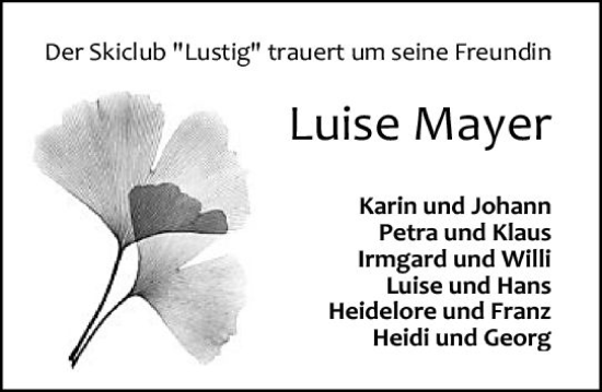 Traueranzeige von Luise Mayer von Odenwälder Echo