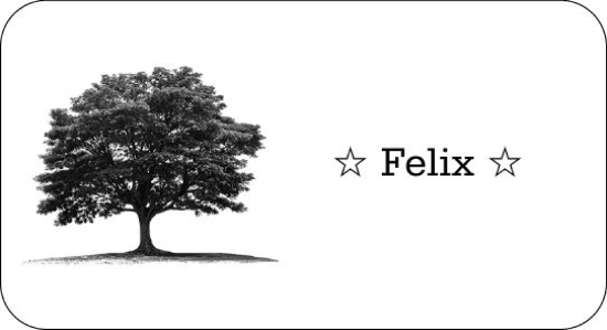 Traueranzeige von Felix  von Allgemeine Zeitung Mainz