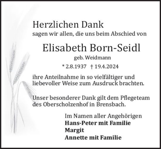 Traueranzeige von Elisabeth Born-Seidl von Odenwälder Echo