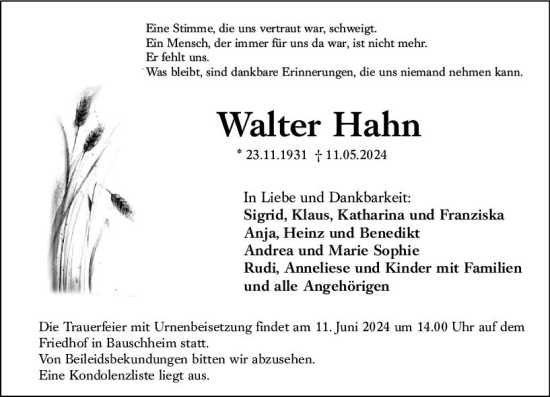 Traueranzeige von Walter Hahn von Rüsselsheimer Echo