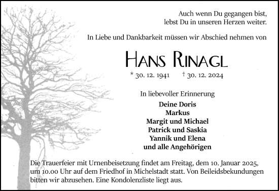 Traueranzeige von Hans Rinagl von Odenwälder Echo