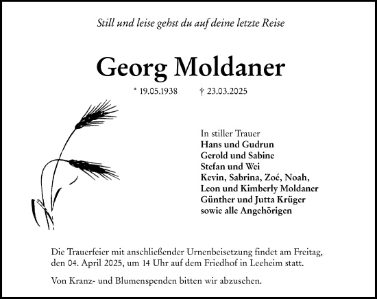 Traueranzeige von Georg Moldaner von Groß-Gerauer Echo
