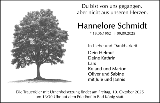 Traueranzeige von Hannelore Schmidt von Odenwälder Echo