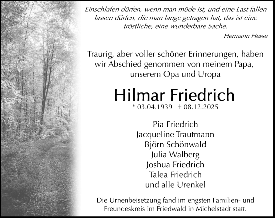 Traueranzeige von Hilmar Friedrich von Odenwälder Echo