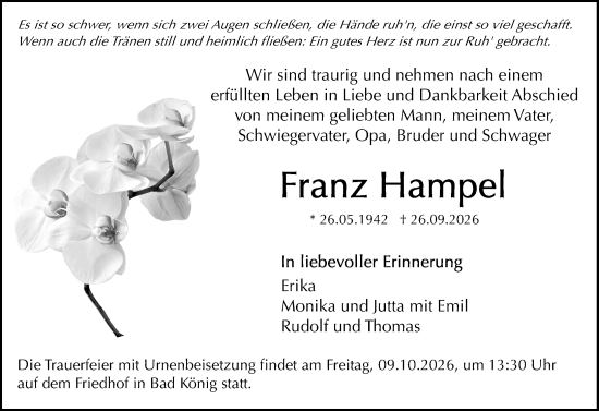 Traueranzeige von Franz Hampel von Odenwälder Echo