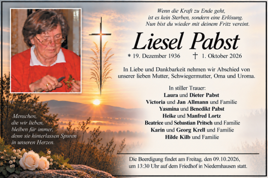 Traueranzeige von Liesel Pabst von Darmstädter Echo