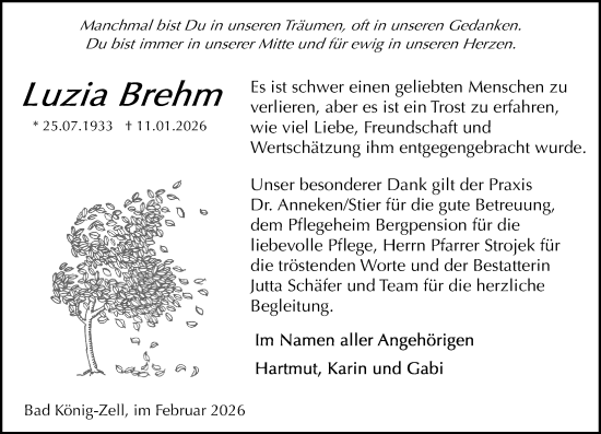 Traueranzeige von Luzia Brehm von Odenwälder Echo