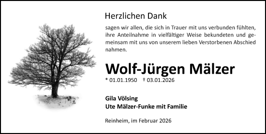 Traueranzeige von Wolf-Jürgen Mälzer von Darmstädter Echo