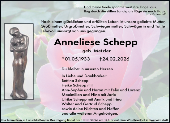 Traueranzeige von Anneliese Schepp von Darmstädter Echo