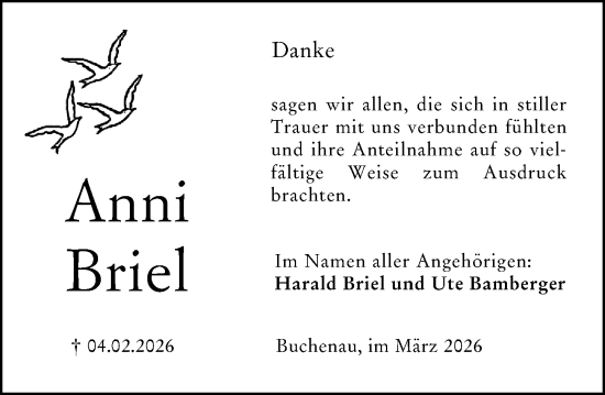 Traueranzeige von Anni Briel von Hinterländer Anzeiger