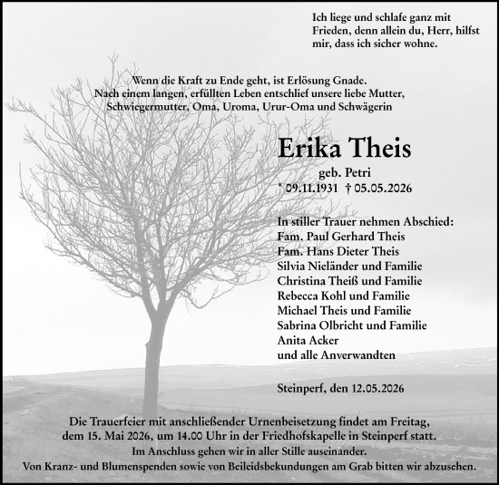 Traueranzeige von Erika Theis von Hinterländer Anzeiger