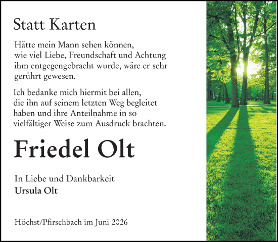Traueranzeige von Friedel Olt von Odenwälder Echo