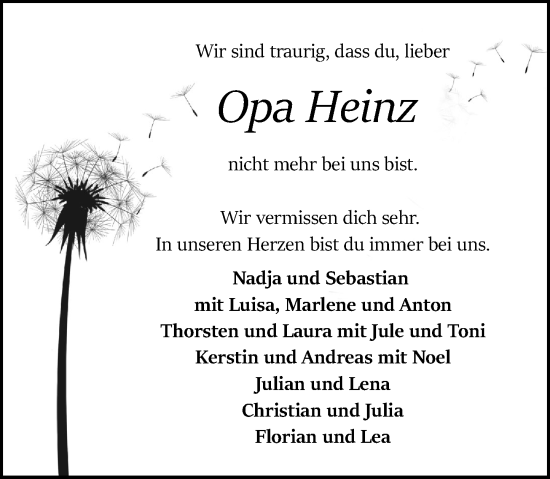 Traueranzeige von Heinz  von Odenwälder Echo
