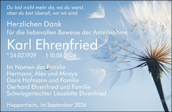 Traueranzeige von Karl Ehrenfried von Starkenburger Echo
