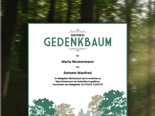  Gedenkbaum inklusive digitalem Zertifikat