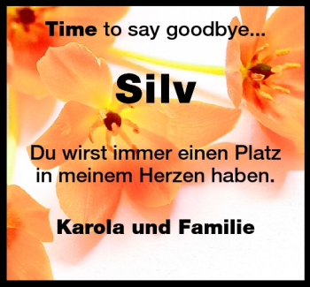 Traueranzeige von Silv  von Echo-Zeitungen (Gesamtausgabe)