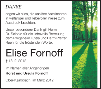 Traueranzeige von Elise Fornoff von Odenwälder Echo