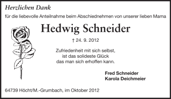 Traueranzeige von Hedwig Schneider von Odenwälder Echo