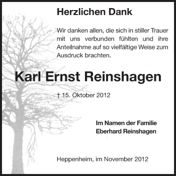 Traueranzeige von Karl Ernst Reinshagen von Odenwälder Echo