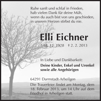 Traueranzeige von Elli Eichner von Echo-Zeitungen (Gesamtausgabe)