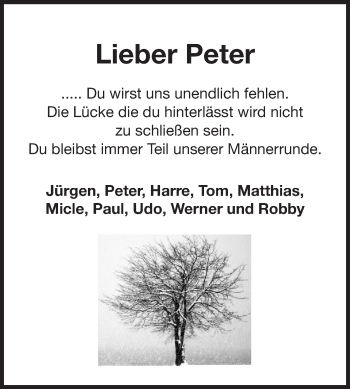 Traueranzeige von Peter Mildenberger  von Echo-Zeitungen (Gesamtausgabe)