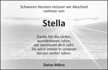 Traueranzeige von Stella  von Trauerportal Rhein Main Presse