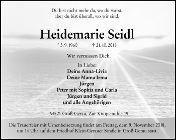 Traueranzeige von Heidemarie Seidl von vrm-trauer