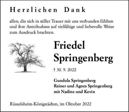 Traueranzeige von Friedel Springenberg von vrm-trauer Rüsselsheimer Echo / MainSpitze