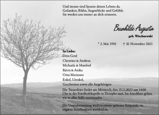 Traueranzeige von Brunhilde Augustin von Hinterländer Anzeiger