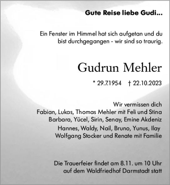 Traueranzeige von Gudrun Mehler von Darmstädter Echo