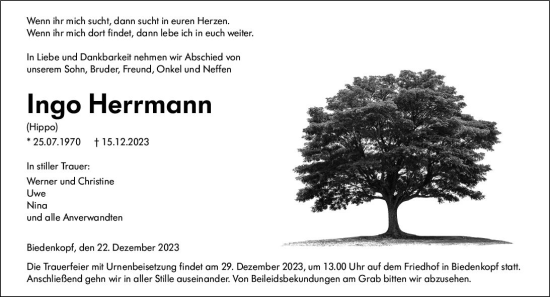 Traueranzeige von Ingo Herrmann von Hinterländer Anzeiger