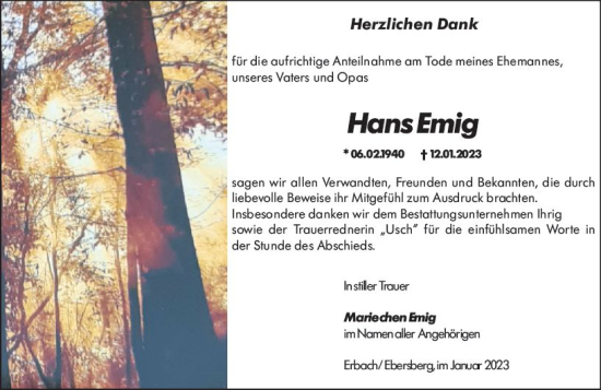 Traueranzeige von Hans Ernig von Odenwälder Echo