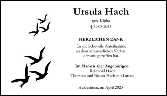 Traueranzeige von Ursula Hach von Allgemeine Zeitung Bingen/Ingelheim