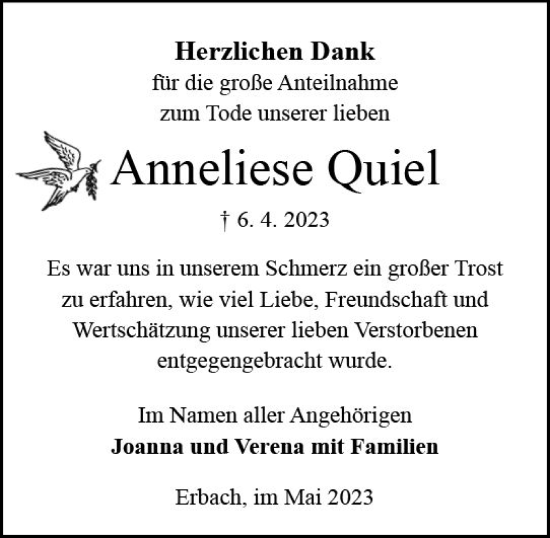 Traueranzeige von Anneliese Quiel von Odenwälder Echo