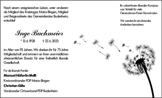 Traueranzeige von Inge Buchmeier von Allgemeine Zeitung Bingen/Ingelheim