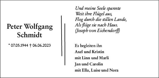Traueranzeige von Peter Wolfgang Schmidt von Darmstädter Echo