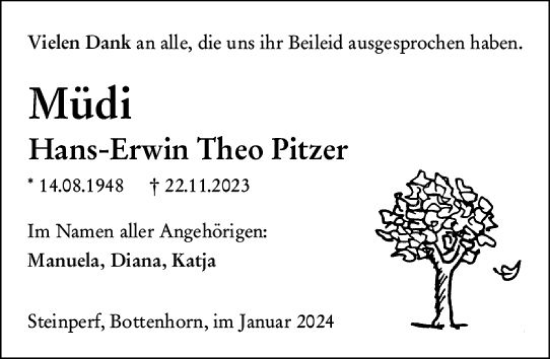 Traueranzeige von Hans-Erwin Theo Pitzer von Hinterländer Anzeiger