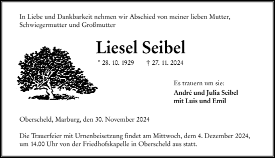 Traueranzeige von Liesel Seibel von Dill Block