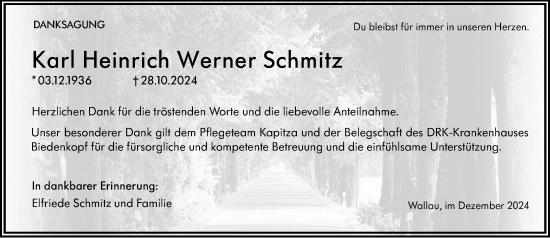 Traueranzeige von Karl Heinrich Werner Schmitz von Hinterländer Anzeiger