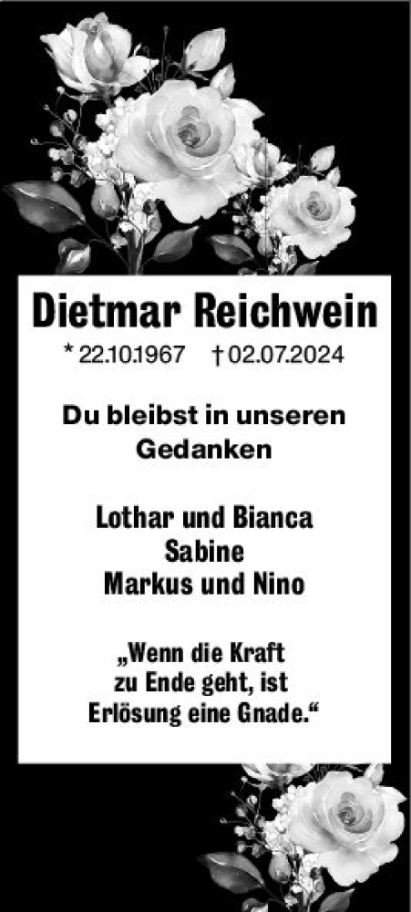 Traueranzeige von Dietmar Reichwein von Nassauische Neue Presse