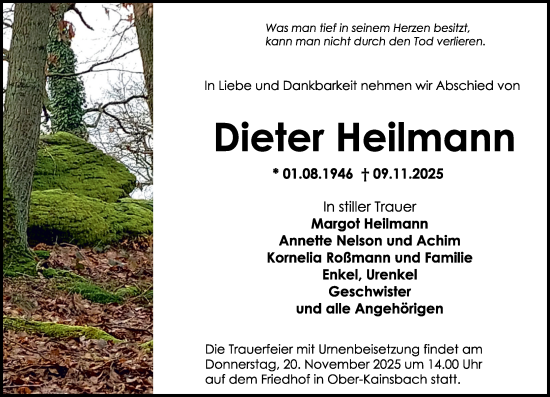 Traueranzeige von Dieter Heilmann von Odenwälder Echo