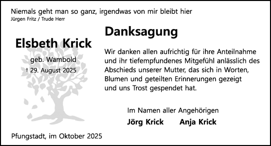 Traueranzeige von Elsbeth Krick von Darmstädter Echo